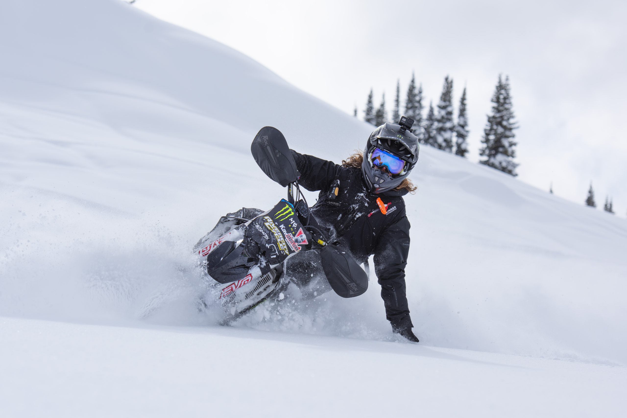 Yeti Snowbikes